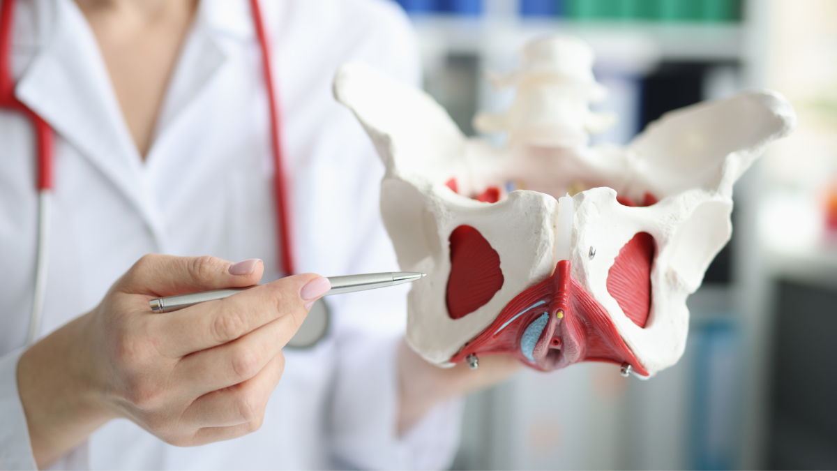 Pelvic Floor Physiotherapist